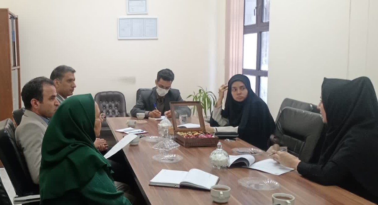 برگزاری جلسه کارگروه پژوهشی «ایمنی و محیط زندگی سالم»