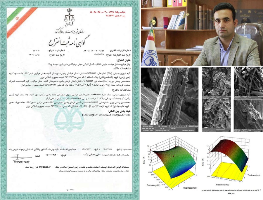 اولین جاذب صوت طبیعی هوشمند در جهان توسط پژوهشگر مرکز تحقیقات عوامل اجتماعی موثر بر سلامت تولید شد.